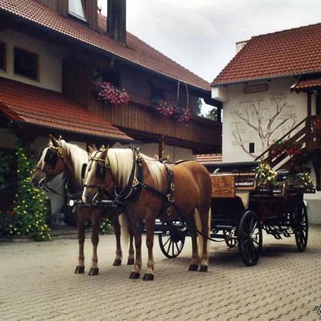 Appartementhaus "Haflinger Hof" Bad Füssing Eksteriør billede