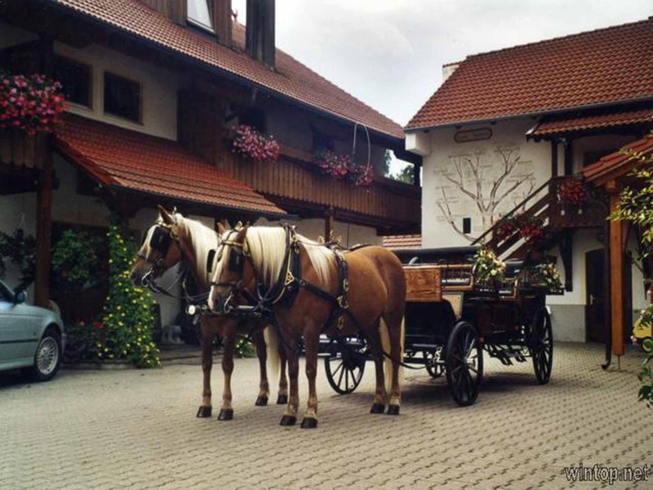 Appartementhaus "Haflinger Hof" Bad Füssing Eksteriør billede